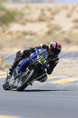 media/May-14-2023-SoCal Trackdays (Sun) [[024eb53b40]]/Turn 5 Tree of Life (1125am)/